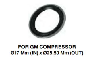 Kit GUARNIZIONE GM 17MM CONF.DA 2PZ