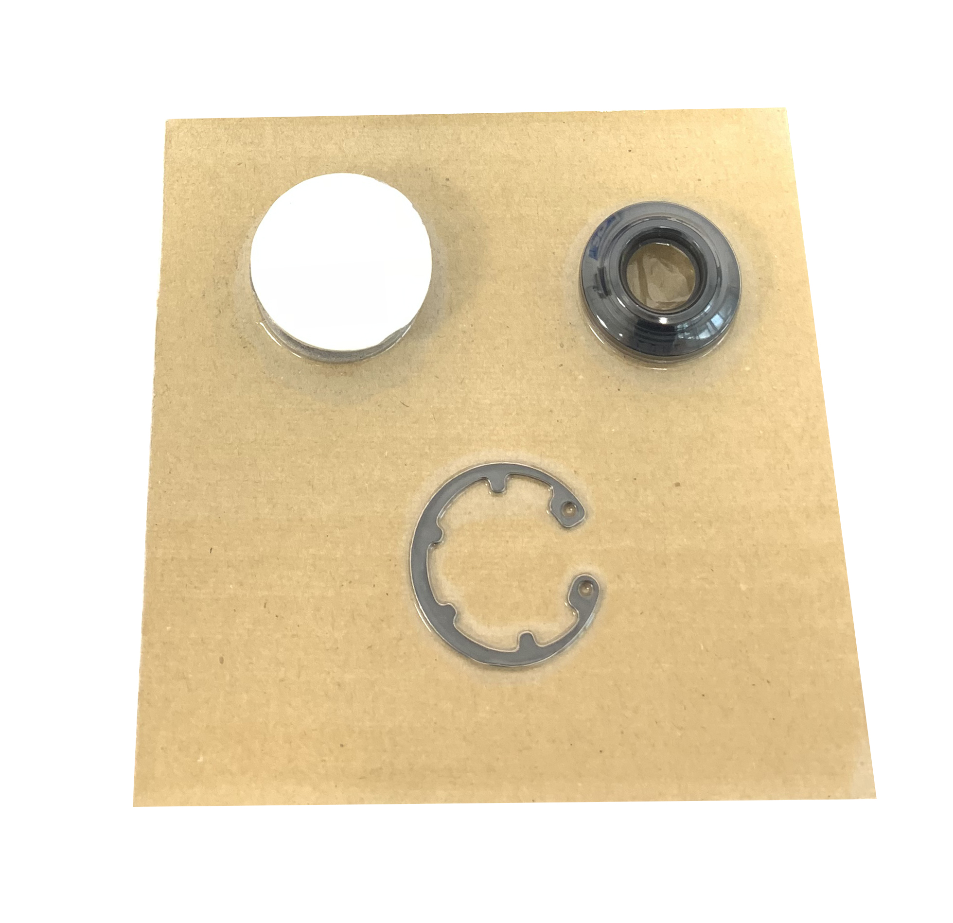 Paraolio SEAL KIT 8176-9700